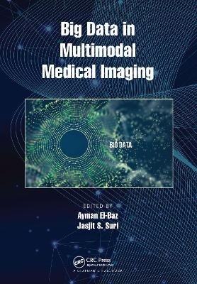 Big Data in Multimodal Medical Imaging - 