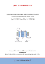 Regulationsmechanismen der dehnungssensitiven Zwei-Porendomänen Kaliumkanäle K2P2.1 (TREK-1) und K2P10.1 (TREK-2) - Jana Denise Hoffmann