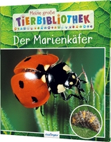 Meine große Tierbibliothek: Der Marienkäfer - Valérie Tracqui