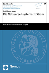 Die Netzentgeltsystematik Strom - Jost Hanno Meyer