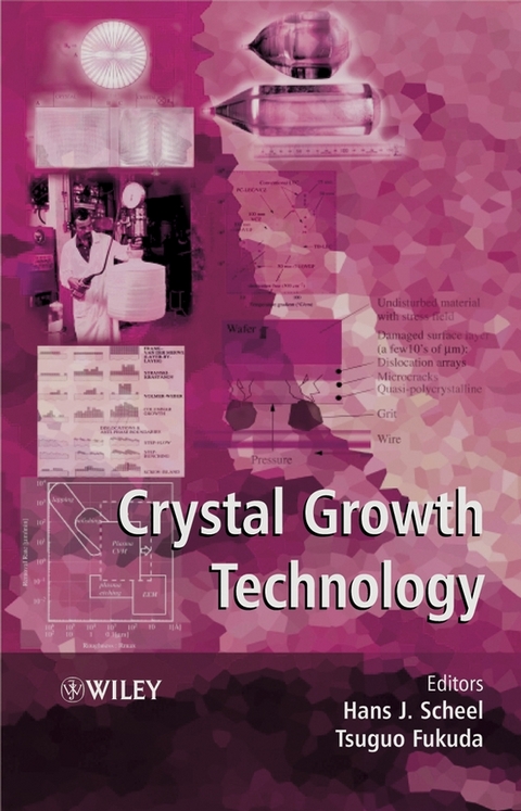 Crystal Growth Technology -  Tsuguo Fukuda,  Hans J. Scheel