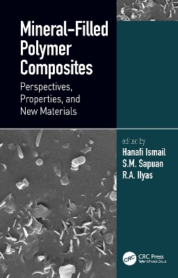 Mineral-Filled Polymer Composites - 