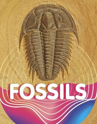 Fossils - Keli Sipperley