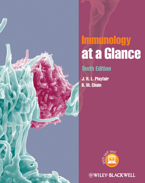 Immunology at a Glance -  B. M. Chain,  J. H. L. Playfair