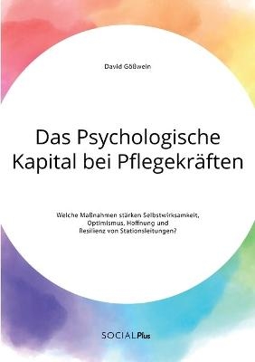 Das Psychologische Kapital bei PflegekrÃ¤ften. Welche MaÃnahmen stÃ¤rken Selbstwirksamkeit, Optimismus, Hoffnung und Resilienz von Stationsleitungen? - David GÃ¶Ãwein