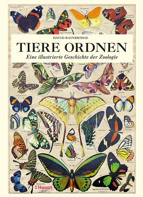 Tiere ordnen - David Bainbridge