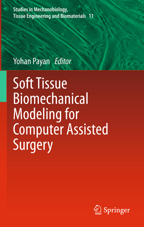 Soft Tissue Biomechanical Modeling for Computer Assisted Surgery - 