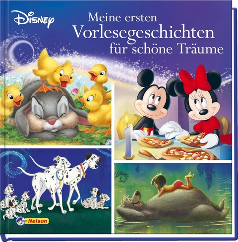 Disney Vorlesebuch: Meine ersten Vorlesegeschichten für schöne Träume