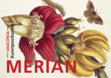 Postkarten-Set Maria Sibylla Merian - 