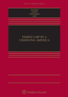 Family Law in a Changing America - Douglas NeJaime, R Richard Banks, Joanna L Grossman, Suzanne A Kim