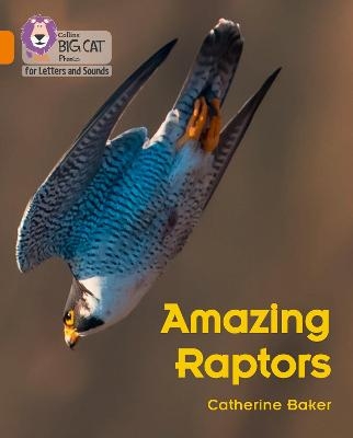 Amazing Raptors - Catherine Baker