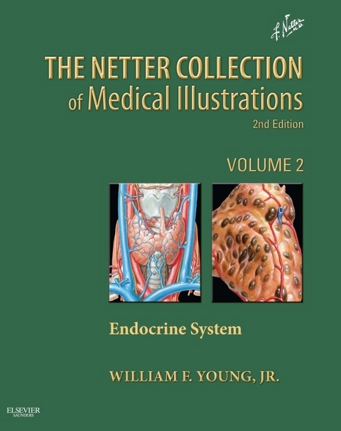 Netter Collection of Medical Illustrations: Endocrine System -  William F. Young