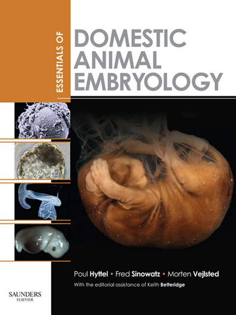 Essentials of Domestic Animal Embryology -  Keith Betteridge,  Poul Hyttel,  Fred Sinowatz,  Morten Vejlsted