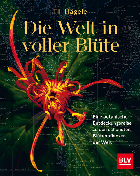 Die Welt in voller Blüte - Till Hägele