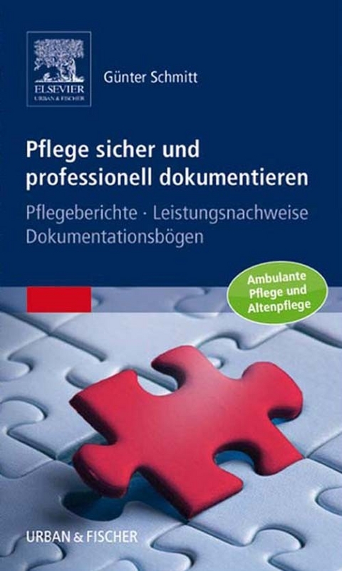 Pflege sicher und professionell dokumentieren -  Günter Schmitt