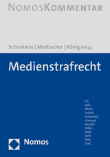 Medienstrafrecht - 