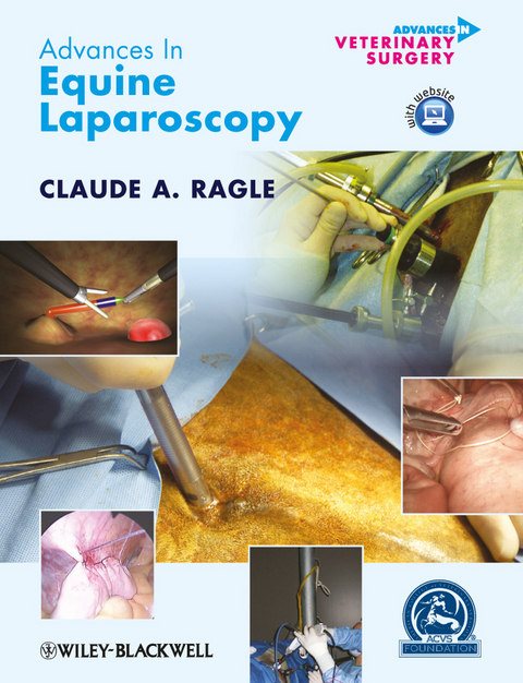 Advances in Equine Laparoscopy - 