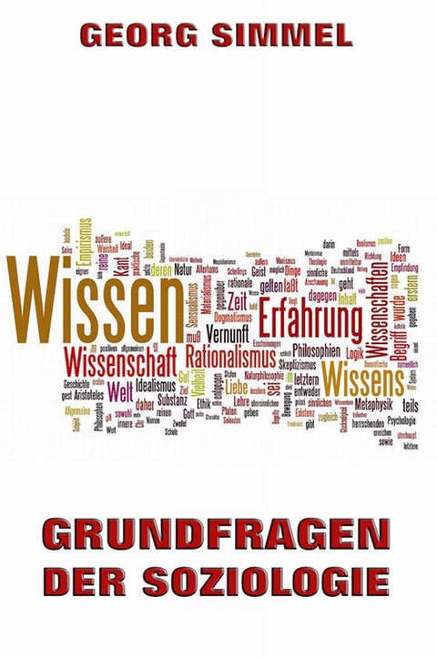 Grundfragen der Soziologie - Georg Simmel