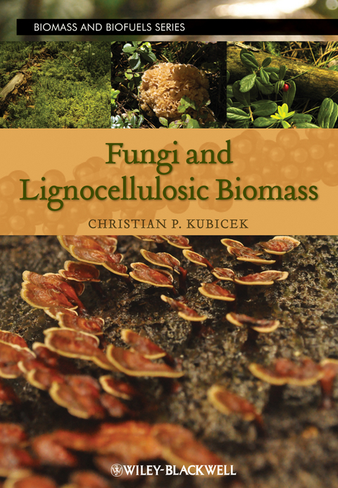 Fungi and Lignocellulosic Biomass - 