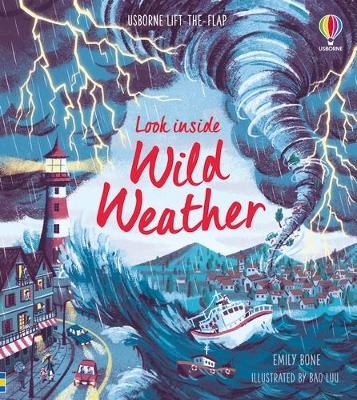 Look Inside Wild Weather - Emily Bone