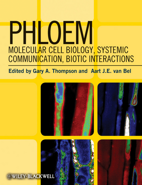 Phloem - Gary A. Thompson, Aart J. E. van Bel