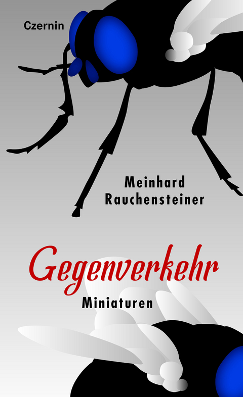 Gegenverkehr - Meinhard Rauchensteiner