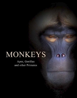 Monkeys - Tom Jackson