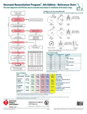 NRP Wall Chart -  American Academy of Pediatrics,  American Heart Association