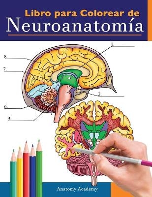 Libro para colorear de neuroanatomía - Anatomy Academy