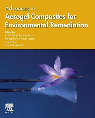 Advances in Aerogel Composites for Environmental Remediation - 