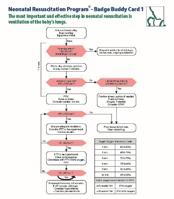 NRP Badge Buddy Card 1 and 2 -  American Academy of Pediatrics,  American Heart Association