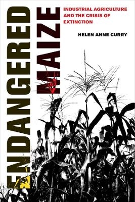 Endangered Maize - Helen Anne Curry