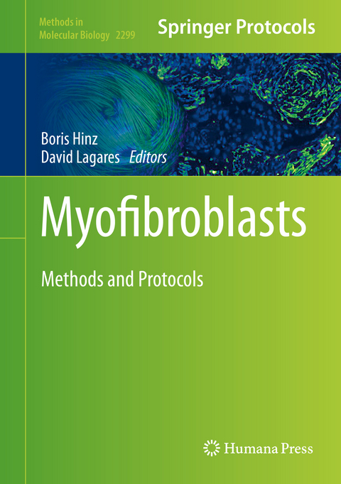 Myofibroblasts - 