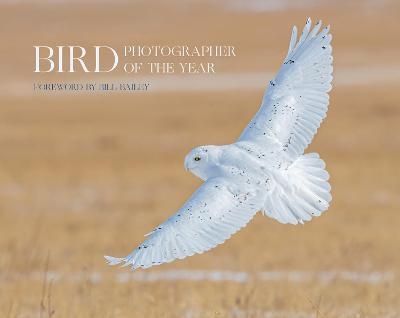 Bird Photographer of the Year -  Bird Photographer of the Year