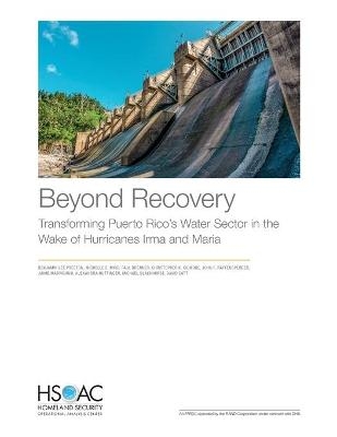 Beyond Recovery - Benjamin Lee Preston, Michelle E Miro, Paul Brenner, Christopher K Gilmore, John F Raffensperger