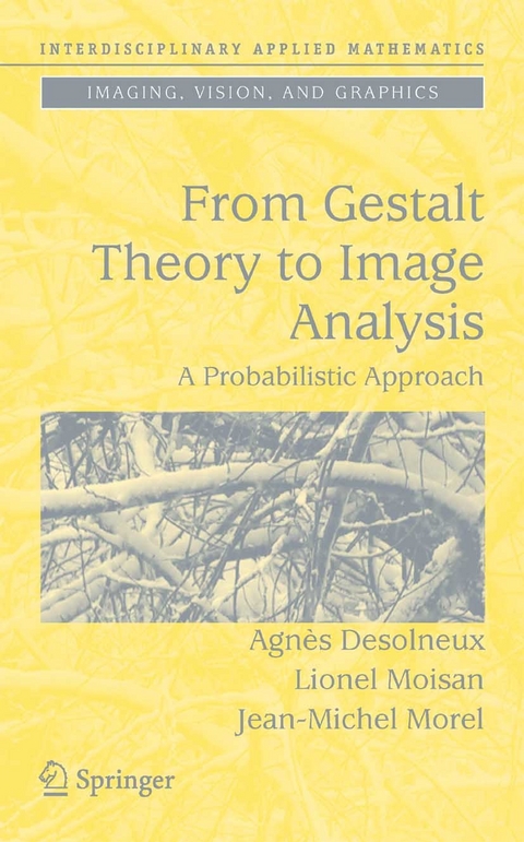 From Gestalt Theory to Image Analysis -  Agnes Desolneux,  Lionel Moisan,  Jean-Michel Morel