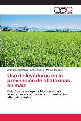 Uso de levaduras en la prevención de aflatoxinas en maíz - Analía Montemarani, Andrea Nesci, Miriam Etcheverry