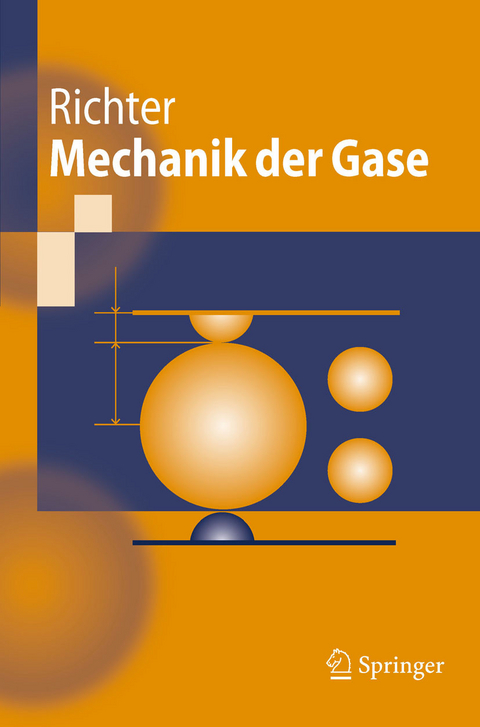 Mechanik der Gase -  Dieter Richter