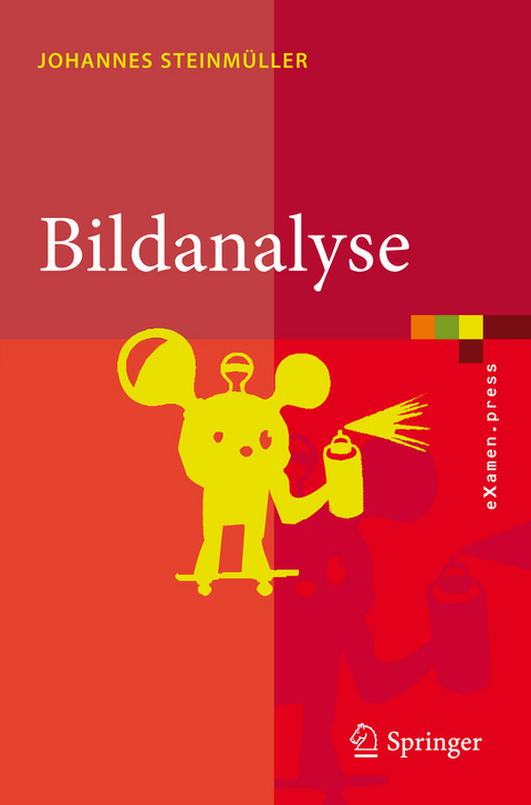 Bildanalyse -  Johannes Steinmüller