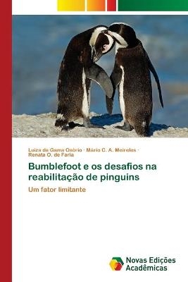 Bumblefoot e os desafios na reabilitação de pinguins - Luiza da Gama Osório, Mário C A Meireles, Renata O de Faria