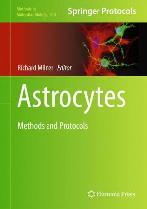 Astrocytes - 