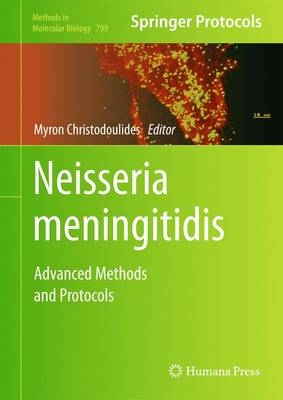 Neisseria meningitidis - 