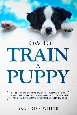 How to Train a Puppy - Brandon White