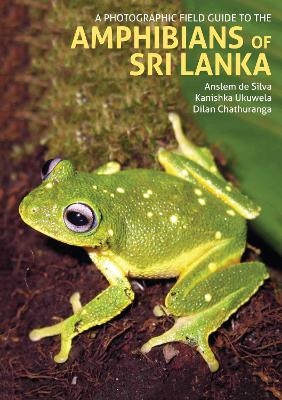 A Photographic Field Guide to the Amphibians of Sri Lanka - Anselm de Silva, Kanishka Ukuwela, Dilan Chathuranga