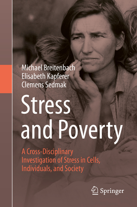 Stress and Poverty - Michael Breitenbach, Elisabeth Kapferer, Clemens Sedmak