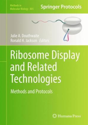 Ribosome Display and Related Technologies - 