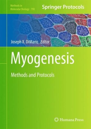 Myogenesis - 