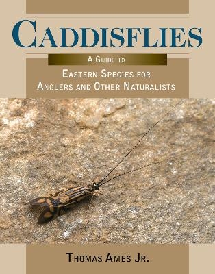 Caddisflies - Thomas Ames  Jr.