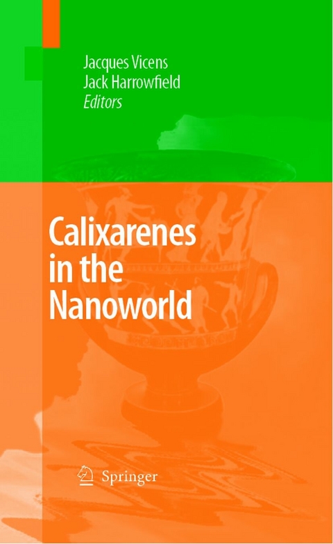 Calixarenes in the Nanoworld - 