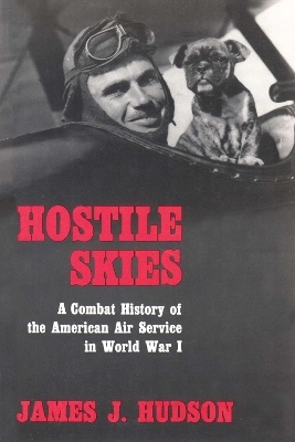 Hostile Skies - James J. Hudson